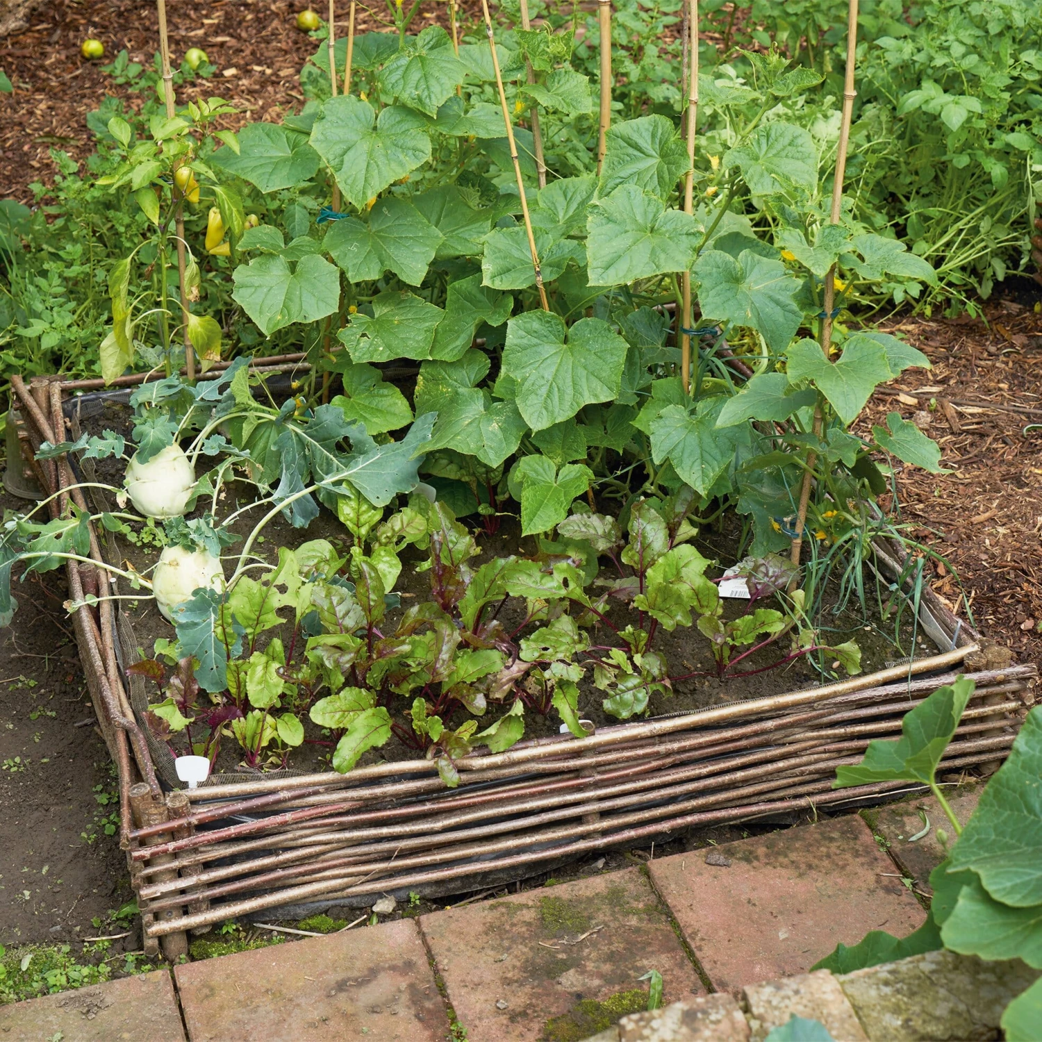 Beddengrens Hazelaar, Laag 5 Beddengrens Hazelaar, Laag - Afbeelding 5