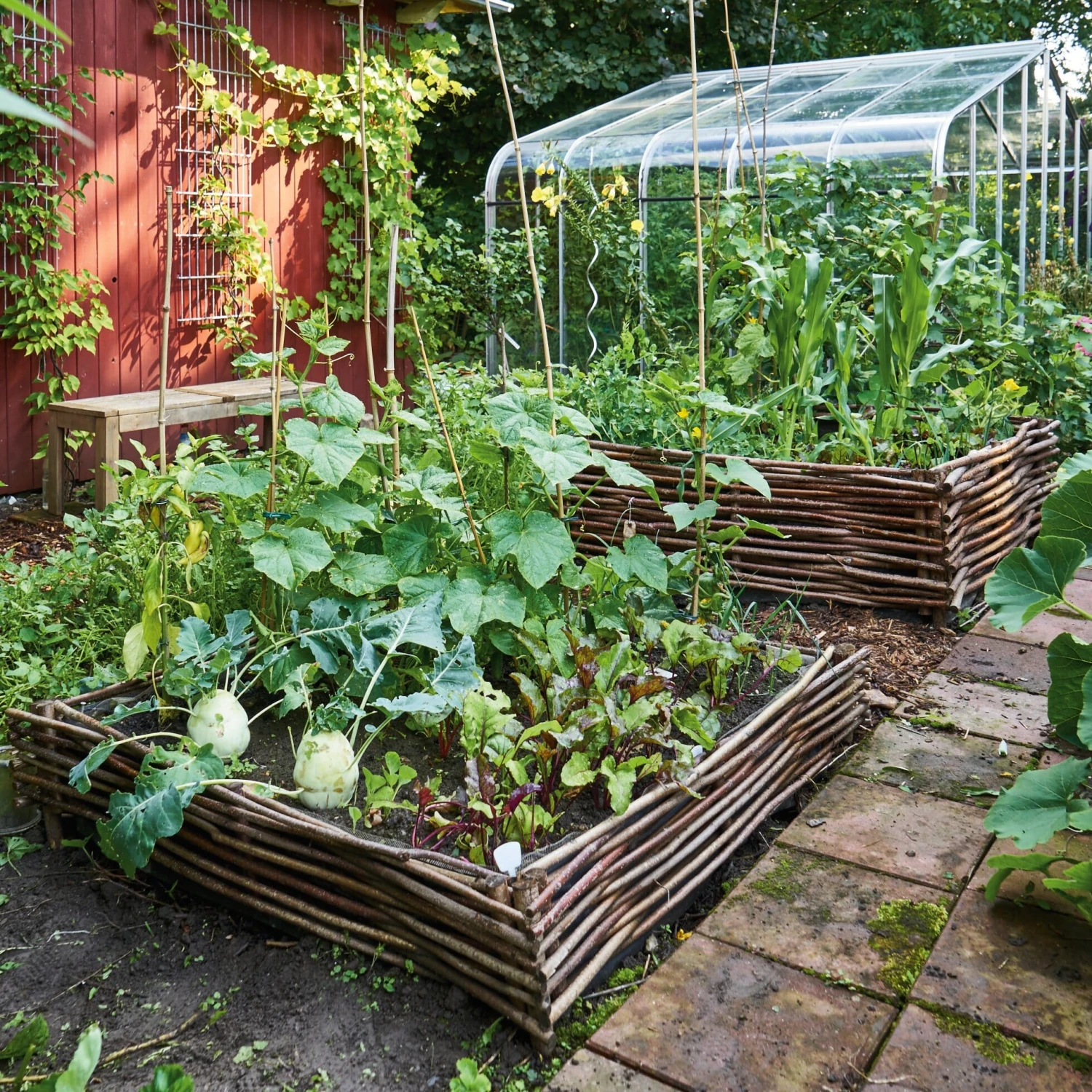 Beddengrens Hazelaar, Laag 6 Beddengrens Hazelaar, Laag - Afbeelding 6