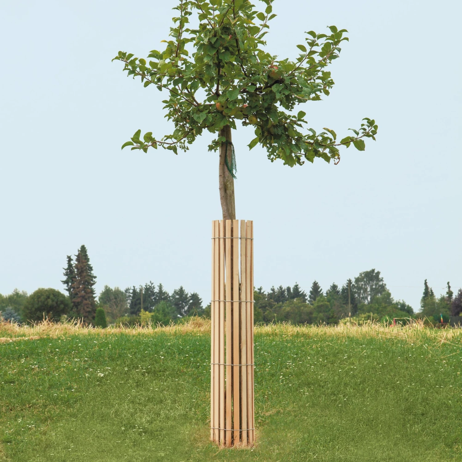 Beschermingsmat Sparrenhout 2 Beschermingsmat Sparrenhout - Afbeelding 2