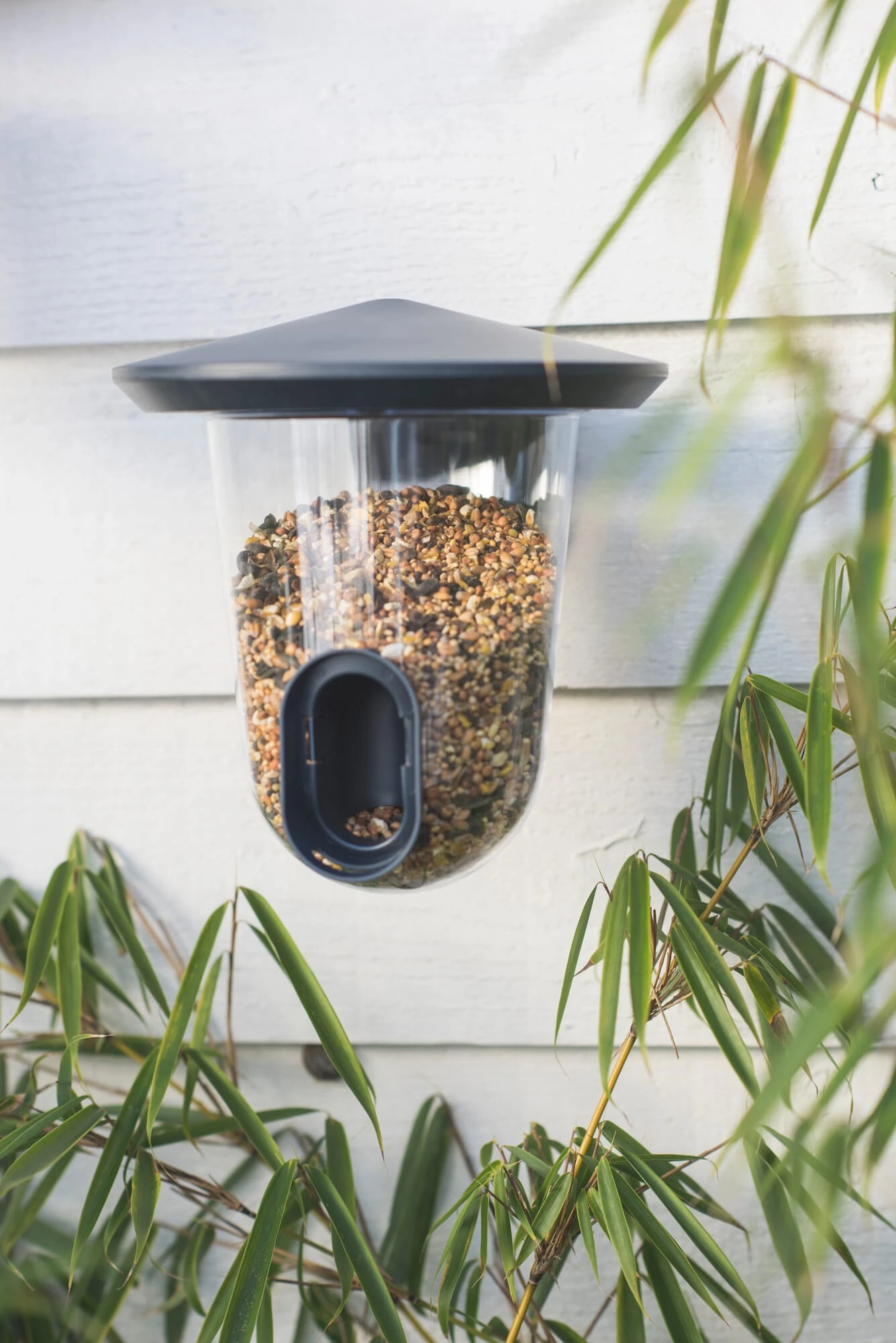 Bird Feeder FeedR 5 Bird Feeder FeedR - Afbeelding 5