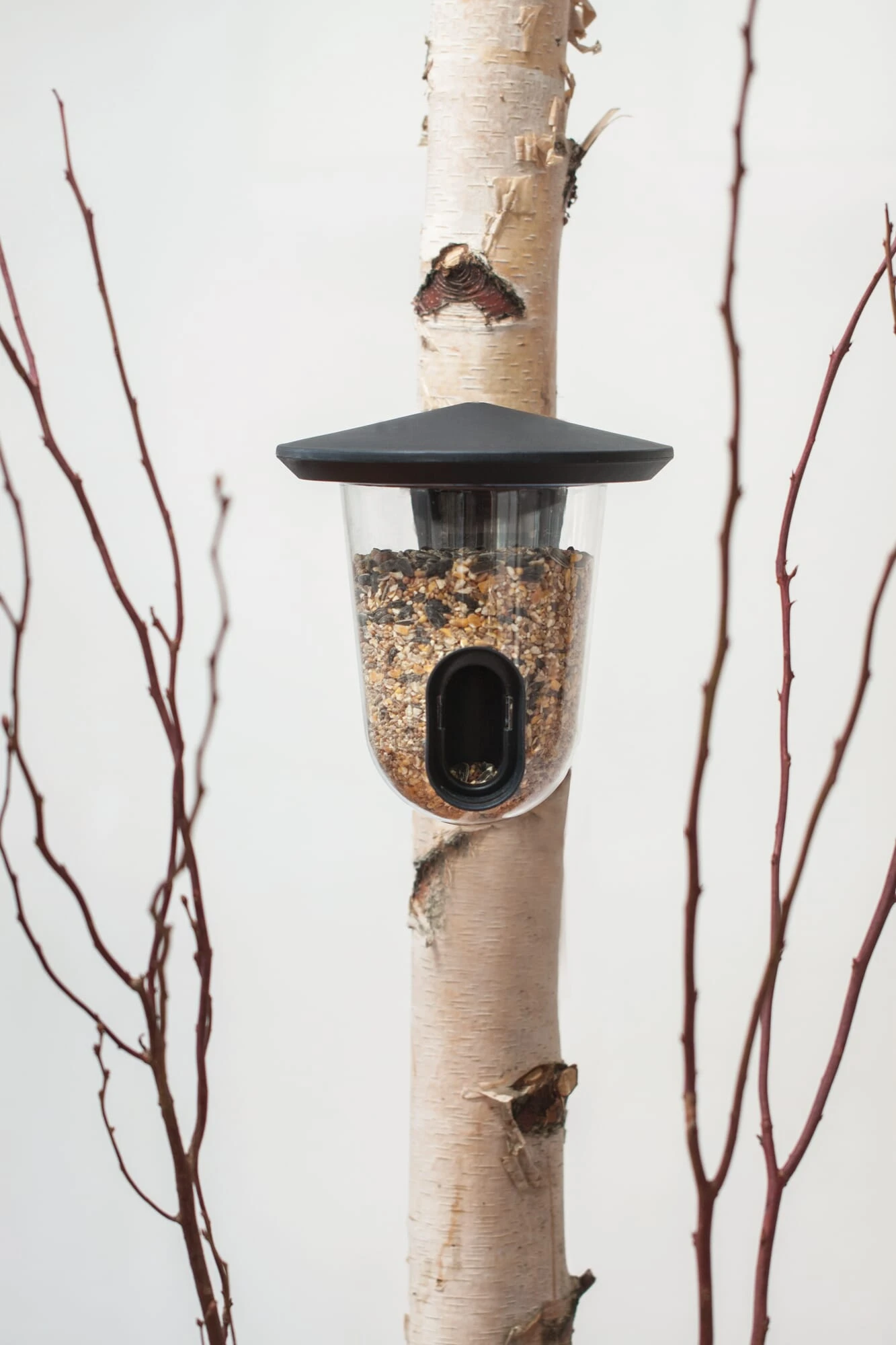 Bird Feeder FeedR 7 Bird Feeder FeedR - Afbeelding 7