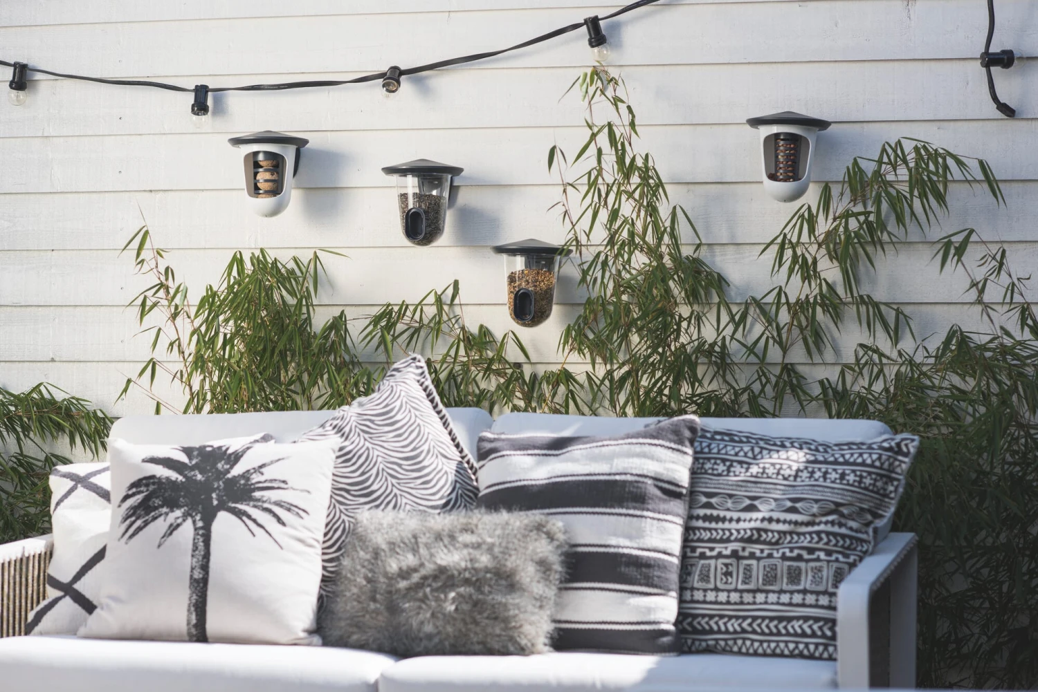 Bird Feeder FeedR 9 Bird Feeder FeedR - Afbeelding 9