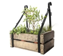 Draagriem Balkondoos -Tuini Winkel draagriem balkondoos 2