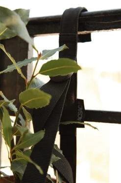 Draagriem Balkondoos -Tuini Winkel draagriem balkondoos 5