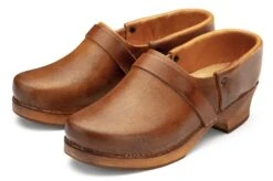 Frans Klompenleer, Bruin