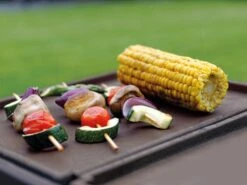 Gietijzeren Vuurkorf 18 Gietijzeren Vuurkorf -Tuini Winkel gietijzeren vuurkorf 5