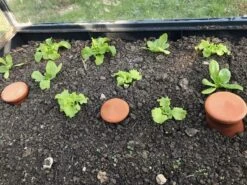 Gietpot Voor Verhoogde Bedden