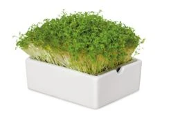 Groei Set Microgreens