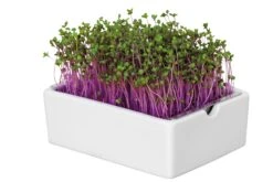 Groei Set Microgreens 16 Groei Set Microgreens -Tuini Winkel groei set microgreens 7