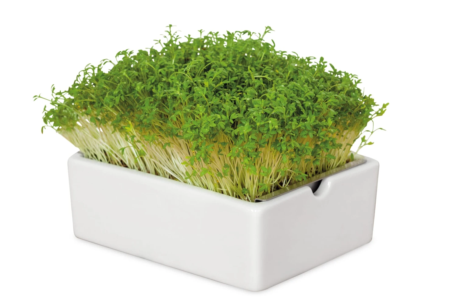 Groei Set Microgreens 1 Groei Set Microgreens