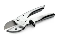 Jubileummodel Löwe Aambeeldschaar