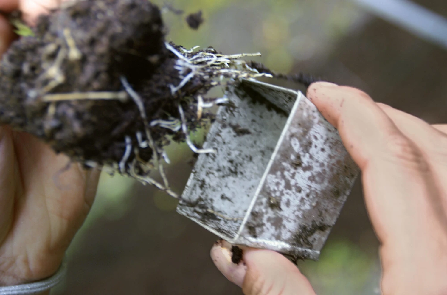 Kweekplaat Met Individuele Potten, Breed 4 Kweekplaat Met Individuele Potten, Breed - Afbeelding 4