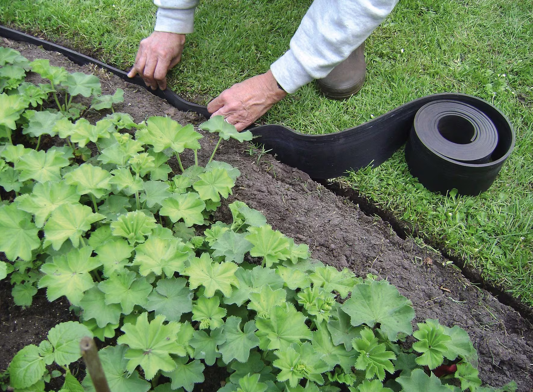 Tuini Winkel -Tuini Winkel lawn edge rubber e1763979939555