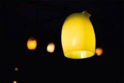 Lichtsnoer Stringlight, Meerkleurig -Tuini Winkel lichtsnoer stringlight 11