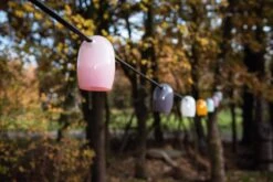 Lichtsnoer Stringlight, Meerkleurig -Tuini Winkel lichtsnoer stringlight 9