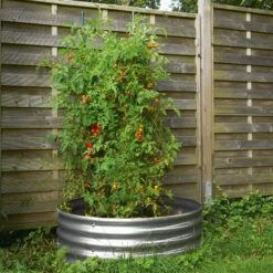 Manufactum Tomatenring Gegolfd Metaal 9 Manufactum Tomatenring Gegolfd Metaal -Tuini Winkel manufactum tomatenring gegolfd metaal 3