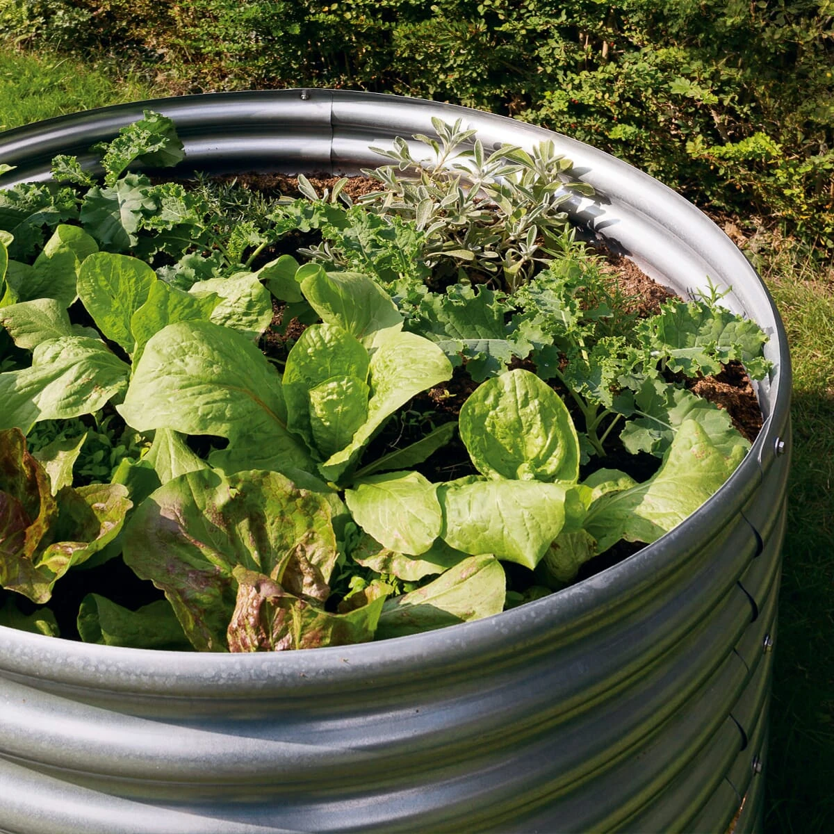 Manufactum Tomatenring Gegolfd Metaal 5 Manufactum Tomatenring Gegolfd Metaal - Afbeelding 5