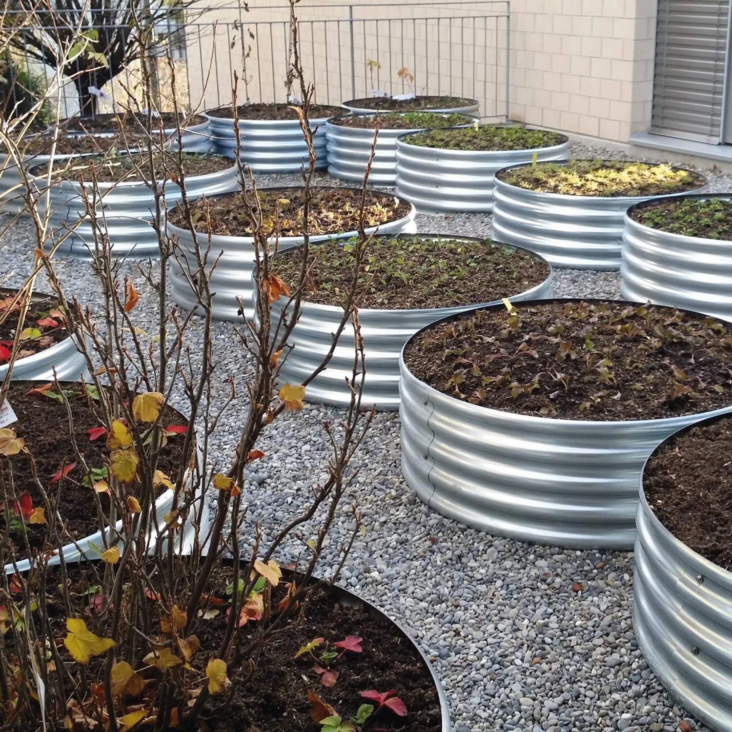 Manufactum Tomatenring Gegolfd Metaal 6 Manufactum Tomatenring Gegolfd Metaal - Afbeelding 6