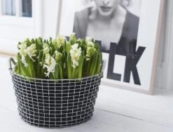 Metalen Mand Korbo -Tuini Winkel metalen mand korbo 2