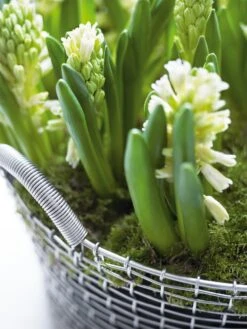 Metalen Mand Korbo -Tuini Winkel metalen mand korbo 3