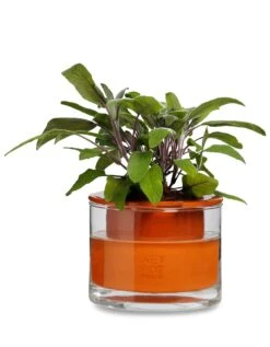 Natte Pot Systemen Planter, Ø 12 Cm