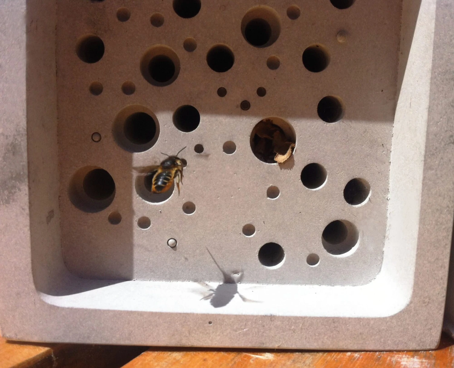 Nesthulp Groot Bijenblok, Lichtgrijs 7 Nesthulp Groot Bijenblok, Lichtgrijs - Afbeelding 7