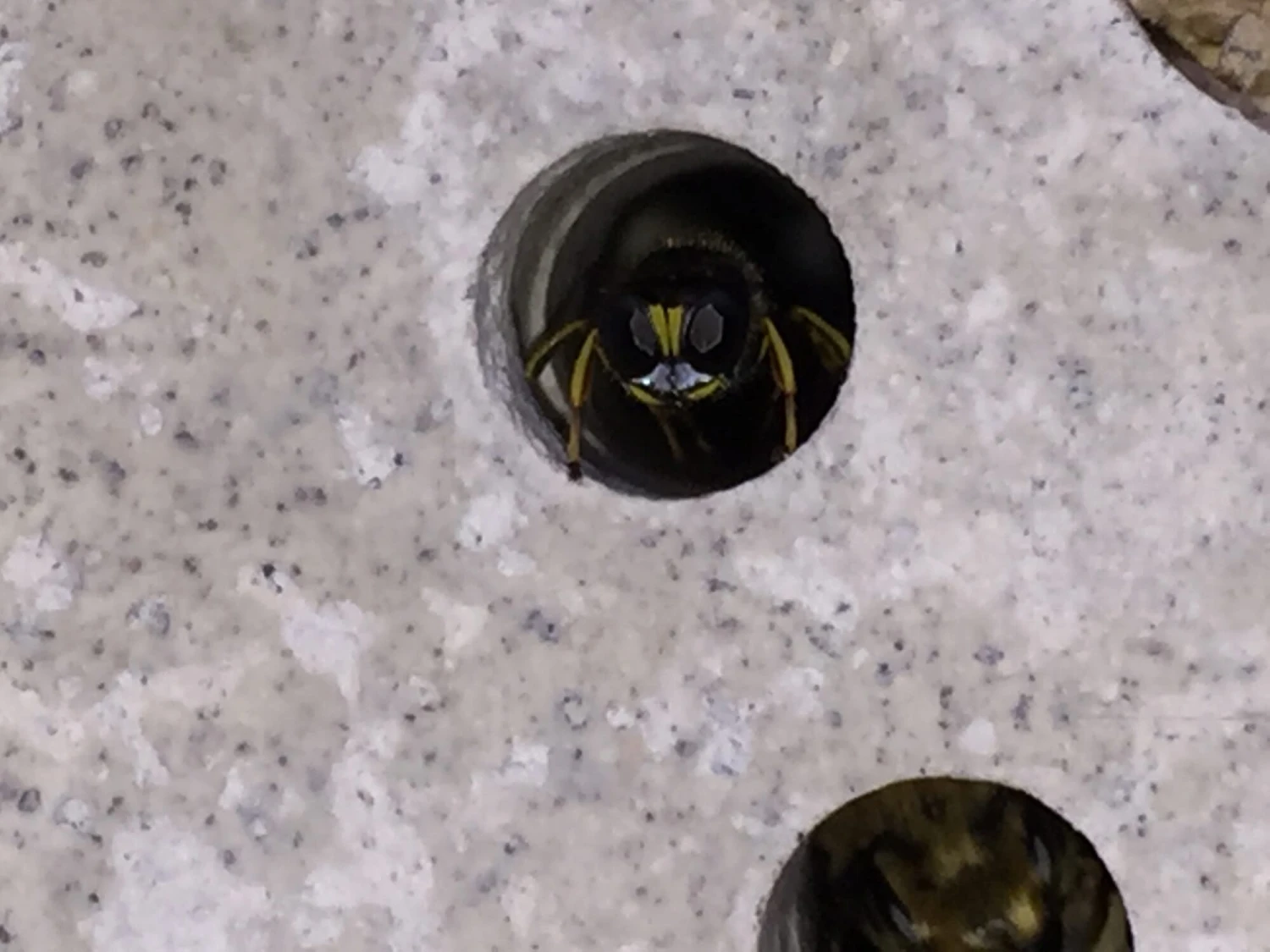 Nesthulp Groot Bijenblok, Lichtgrijs 10 Nesthulp Groot Bijenblok, Lichtgrijs - Afbeelding 10