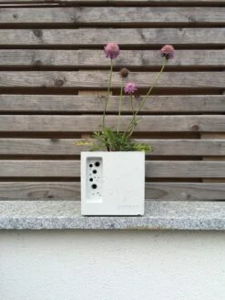 Nesthulp En Plantenbak Bijenpot, Klein -Tuini Winkel nesthulp plantenbak bijenpot 2