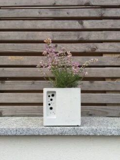 Nesthulp En Plantenbak Bijenpot, Klein -Tuini Winkel nesthulp plantenbak bijenpot 4