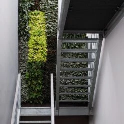 Plantelement Voor Wandmontage -Tuini Winkel plantelement wandmontage 10