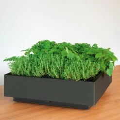 Plantelement Voor Wandmontage -Tuini Winkel plantelement wandmontage 2