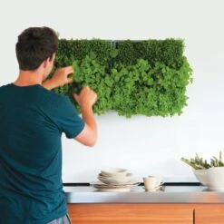 Plantelement Voor Wandmontage -Tuini Winkel plantelement wandmontage 3