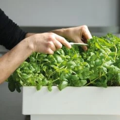 Plantelement Voor Wandmontage -Tuini Winkel plantelement wandmontage 4