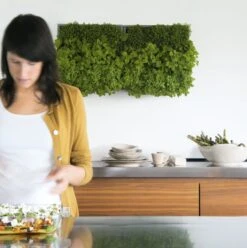 Plantelement Voor Wandmontage -Tuini Winkel plantelement wandmontage 6