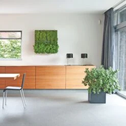 Plantelement Voor Wandmontage -Tuini Winkel plantelement wandmontage 7