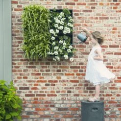 Plantelement Voor Wandmontage -Tuini Winkel plantelement wandmontage 8