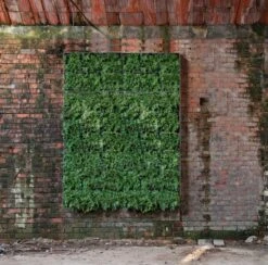 Plantelement Voor Wandmontage -Tuini Winkel plantelement wandmontage 9