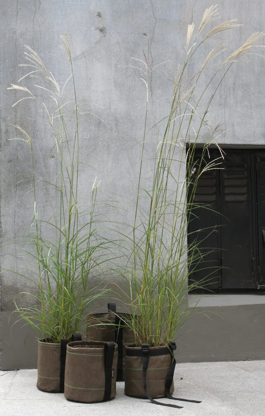 Plantenbak Bacsac - Container Cilindrisch, 10 Liter, Groen/Braun 3 Plantenbak Bacsac - Container Cilindrisch, 10 Liter, Groen/Braun - Afbeelding 3