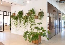 Plantenbak Met Waterreservoir Groot 10 Plantenbak Met Waterreservoir Groot -Tuini Winkel plantenbak waterreservoir groot 4