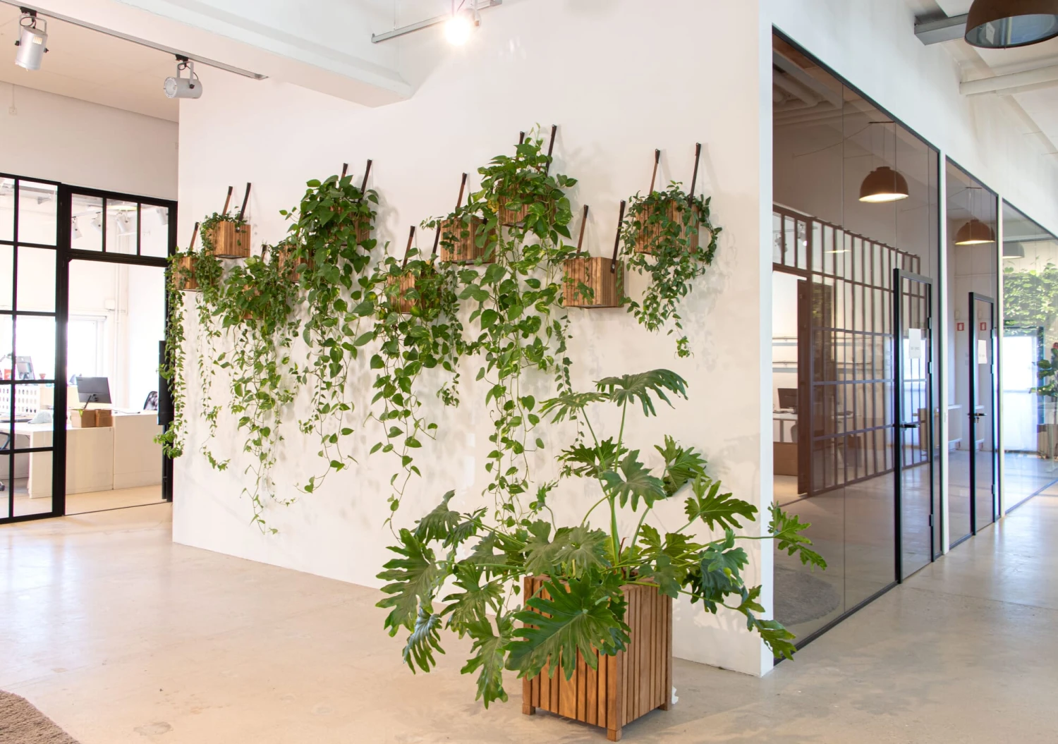 Plantenbak Met Waterreservoir Groot 5 Plantenbak Met Waterreservoir Groot - Afbeelding 5