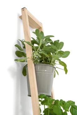 Plantenladder Voor Binnen En Buiten, Grijs -Tuini Winkel plantenladder binnen buiten 3