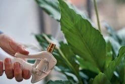 Plantenspuit Met Messing Spuitkop -Tuini Winkel plantenspuit messing spuitkop 2