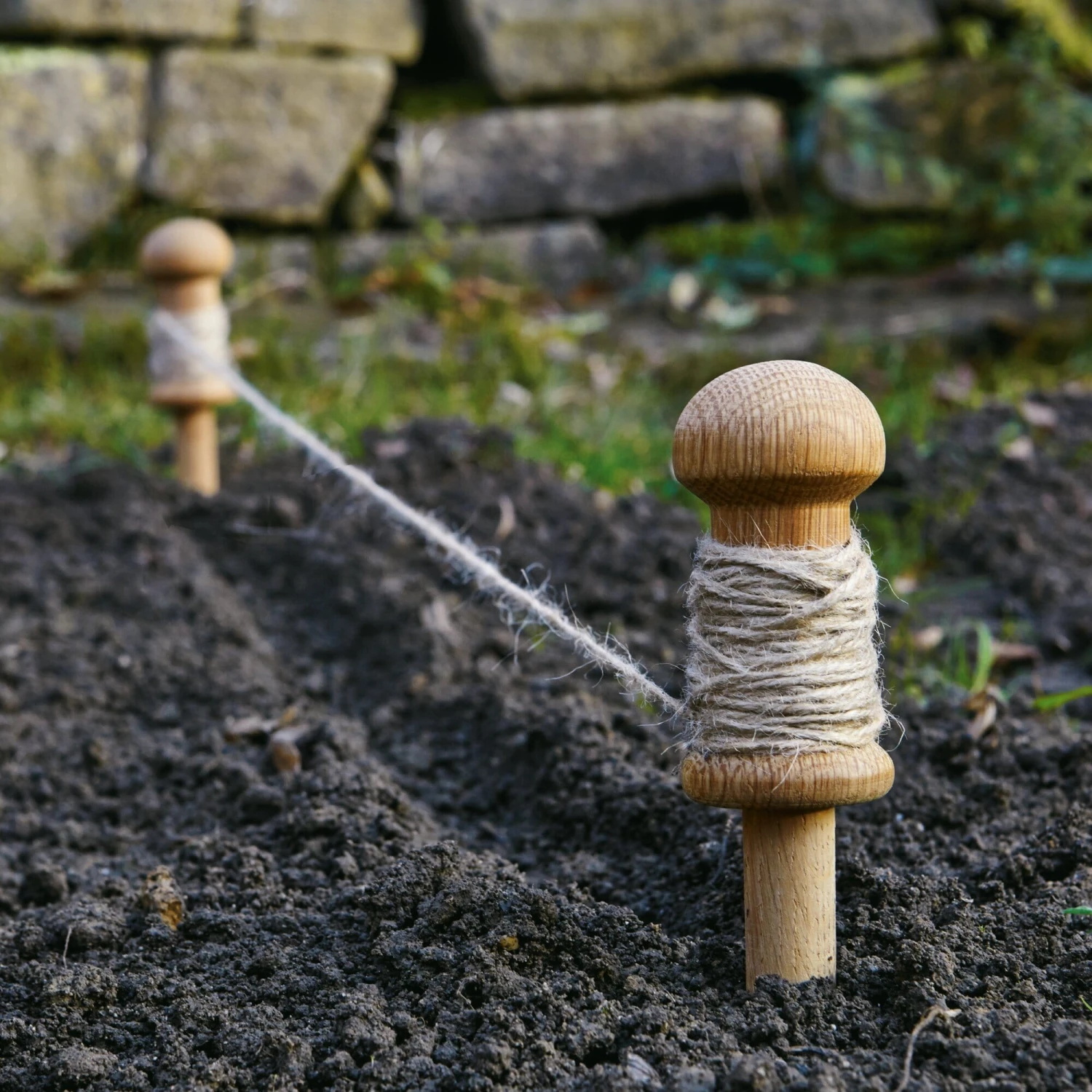 Plantkoordhouder Eikenhout 2 Plantkoordhouder Eikenhout - Afbeelding 2