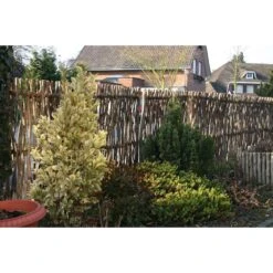 Privacyscherm Hazelnoothout -Tuini Winkel privacyscherm hazelnoothout 6