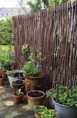 Privacyscherm Hazelnoothout -Tuini Winkel privacyscherm hazelnoothout 8