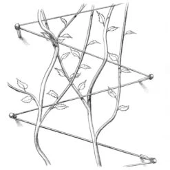 Roestvrij Stalen Traliesysteem -Tuini Winkel roestvrij stalen traliesysteem 2