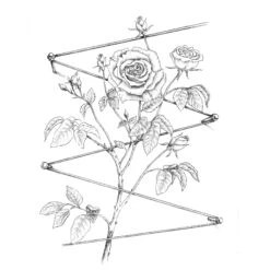 Roestvrij Stalen Traliesysteem -Tuini Winkel roestvrij stalen traliesysteem 3