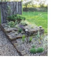 Schelpenmulch 5 Schelpenmulch -Tuini Winkel schelpenmulch 2