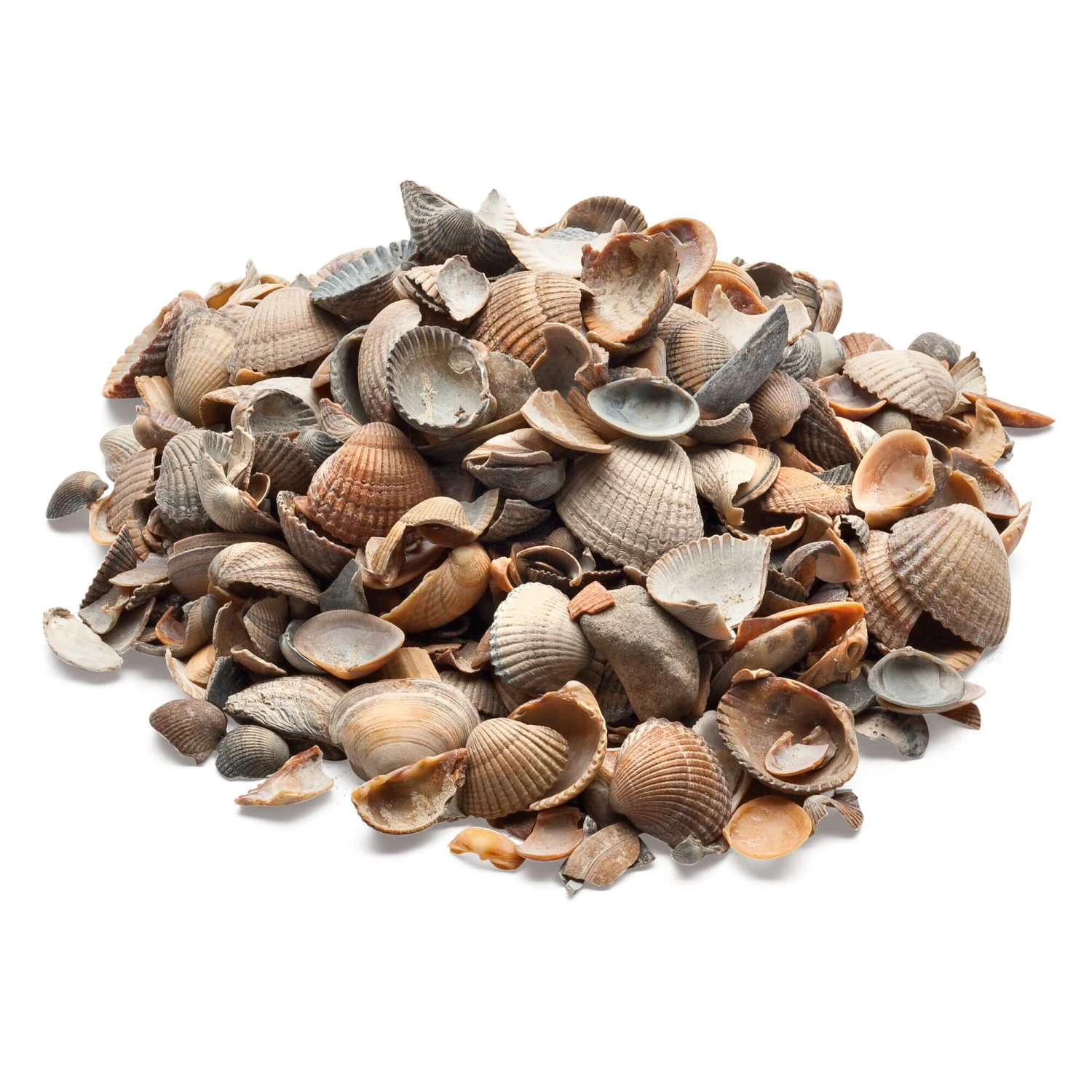 Schelpenmulch 1 Schelpenmulch