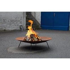 Snijbiet -Tuini Winkel snijbiet 3